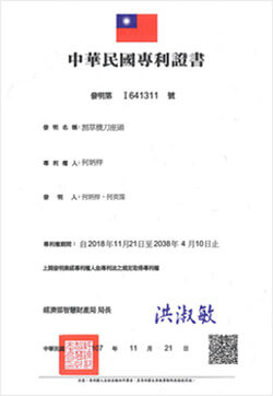 patent3.jpg